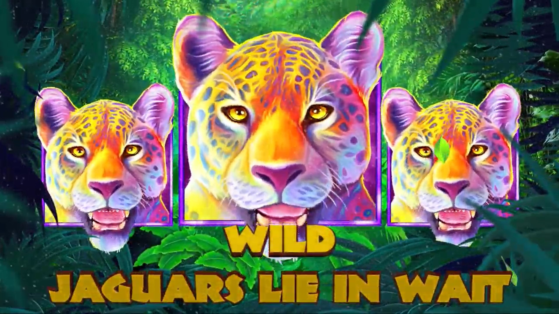 Jaguar Gold wild Skywind Group