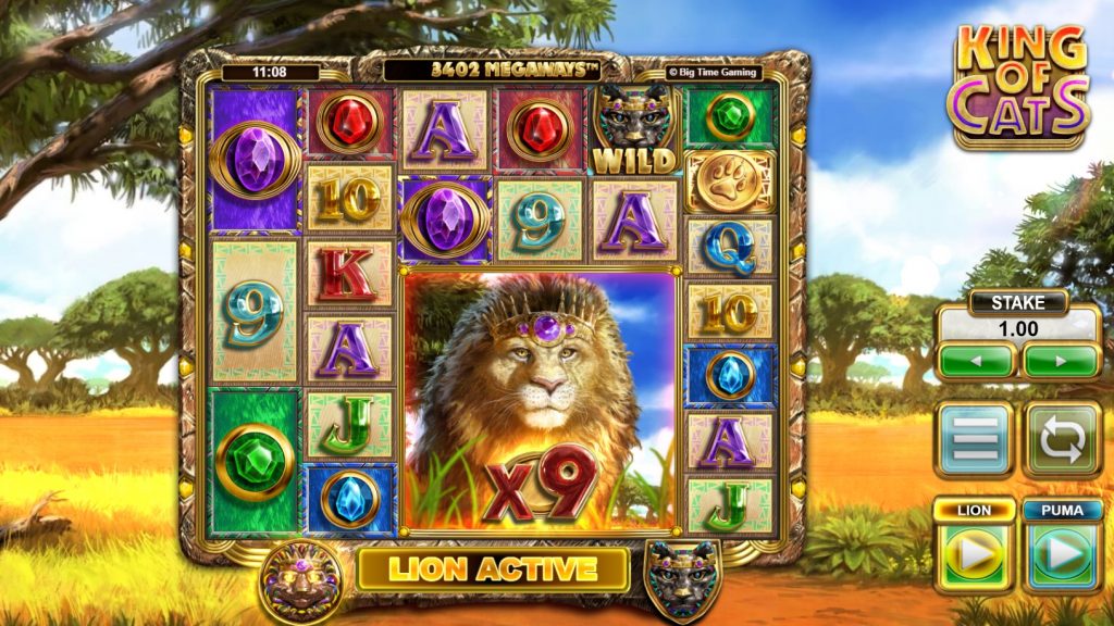 King of Cats Lion 1
