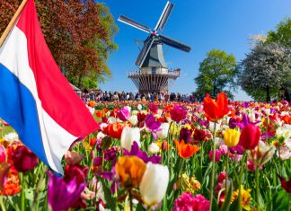 High 5 Games has announced its anticipation to enter the Netherlands with its content once the market opens up under new regulations
