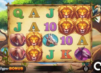 Safari Chase is a 5x4 slot title which takes players in the backdrops of the African plains and includes the HyperBonus mechanics.