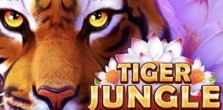 Slot developer Booongo has enhanced its catalogue of Hold and Win titles with the launch of its latest game, Tiger Jungle.
