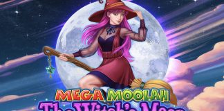 Mega Moolah The Witch’s Moon is a 5x3, 25-payline video slot including features such as four jackpot prizes, scatters and free spins.