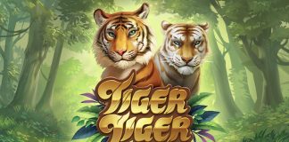 Tiger Tiger: Wild Life is a 5x4, 25-payline slot with features including stacked symbols, wilds, a golden tiger scatter and free spins.