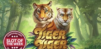 Yggdrasil and G Games’ new slot Tiger Tier: Wild Life is not only the king of the jungle this week as it claims the crown to our SOTW award.