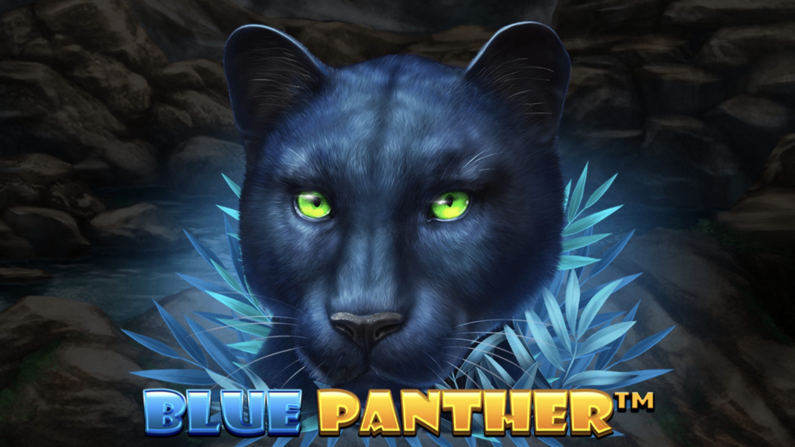 Blue Panther is a 5x3, 25-payline video slot which incorporates three jackpot prizes, a free games round and 3x3 symbols.