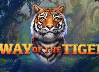Way of the Tiger is a 5x4, 40-payline video slot that comes with a maximum win potential of up to x10,000 the bet.
