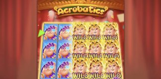 Acrobatics is a 5x3, nine-payline video slot that incorporates a maximum win potential of up to x1,000 the bet.