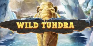 Wild Tundra is a 5x4, 30-payline video slot that incorporates a maximum win potential of up to x10,000 the bet. 