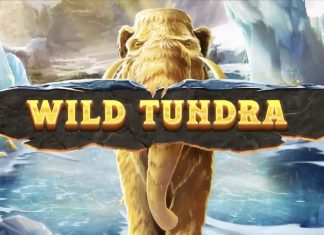 Wild Tundra is a 5x4, 30-payline video slot that incorporates a maximum win potential of up to x10,000 the bet. 