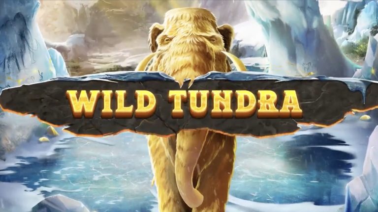 Wild Tundra is a 5x4, 30-payline video slot that incorporates a maximum win potential of up to x10,000 the bet. 