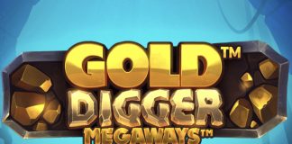 Gold Digger Megaways is a 6x2-7, 117,649-payline video slot that incorporates an extra tracker reel and cascading wins.