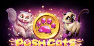 Posh Cats is a 3x3, 27-payline video slot that incorporates a maximum win potential of up to x2,122 the bet.