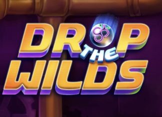 Drop the Wilds is a 5x4, 20-payline video slot that incorporates a range of symbols and an array of features.
