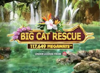 Big Cat Rescue Megaways is a 6x2-7, 117,649-payline video slot that incorporates a maximum win potential of up to x10,481 the bet.