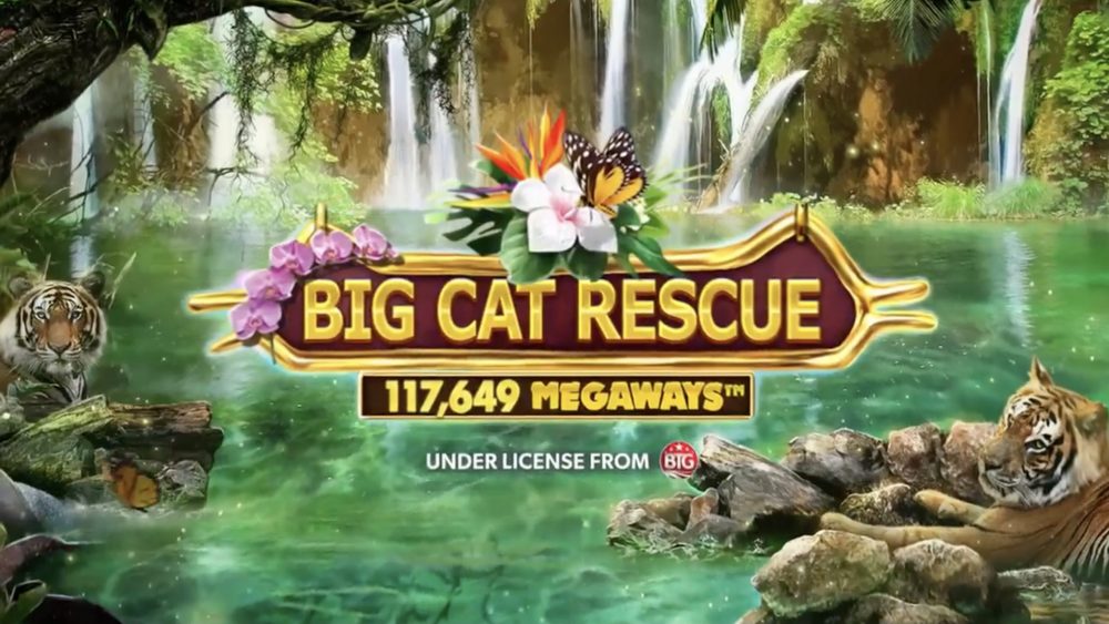 Big Cat Rescue Megaways is a 6x2-7, 117,649-payline video slot that incorporates a maximum win potential of up to x10,481 the bet.