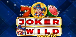 Stakelogic, in collaboration with Touchstone Games, has embraced classic slot nostalgia via its latest slot title, Wild Joker Respin.