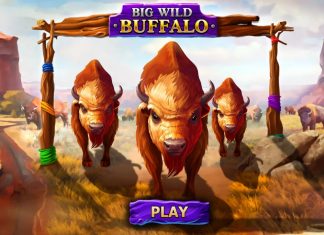 American nature is waiting for the players as slot supplier Belatra Games releases its latest slot title Big Wild Buffalo. 