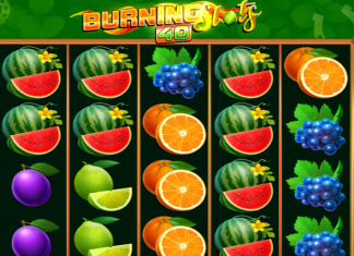 Burning Slots 40 gameplay