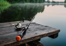 bet365: Fishing games enjoy UK renaissance We ask our experts why only recently are studios delving into fishing-themeds slots, considering the success of Fishin’ Frenzy over the years?