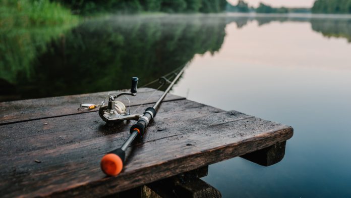 Fishing-rod We ask our experts why only recently are studios delving into fishing-themeds slots, considering the success of Fishin’ Frenzy over the years?