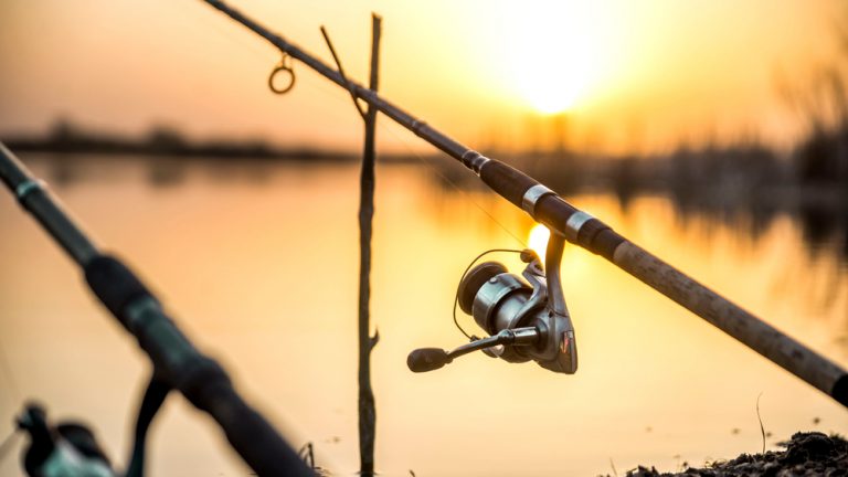 Angling for innovation: how  far can fishing slots cast out?