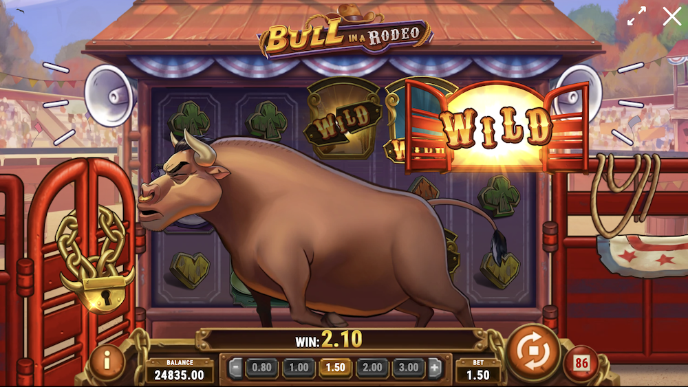 Bull in a Rodeo SOTW9