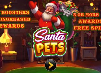 Christmas is just around the corner and it’s not only for humans to celebrate as Swintt focuses on the pets of the festive season in its latest slot, Santa Pets.