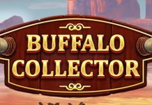 Buffalo Collector – Red Tiger
