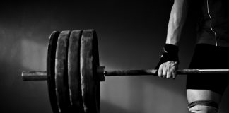 Alea strengthens with FAZI collaboration Man lifts bar