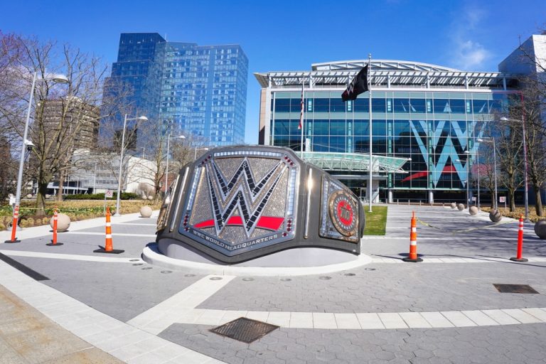 WWE and Fanatics