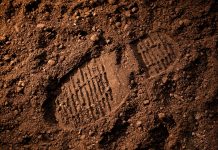 Swintt expands European footprint into Austria with win2day Footprint