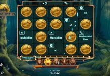 20 Armadillos – SlotMatrix