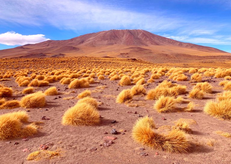Bolivia gaming landscape