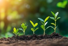 LuckyStreak grows aggregation offering with Play’n GO Growth