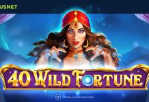 Wild Fortune – Amusnet Wild Fortune