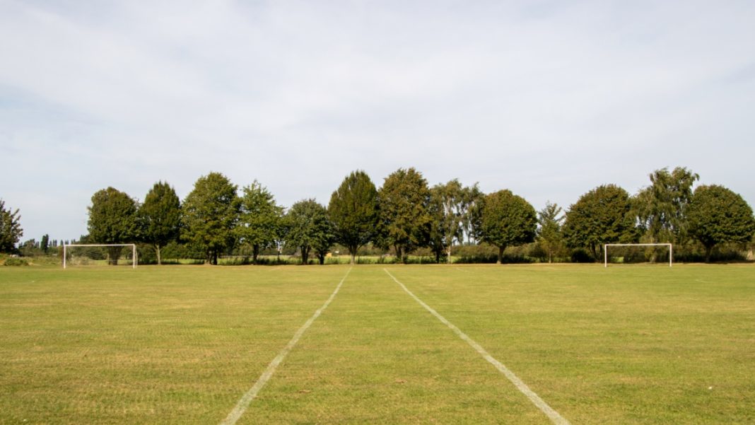 Playing field