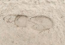 SpinOro scales Eastern European footprint with Favbet Footprint