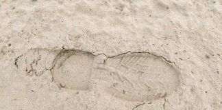 SpinOro scales Eastern European footprint with Favbet Footprint