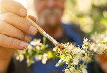 Amusnet adds golden touch to latest slot releases Man applies a brush to some plants