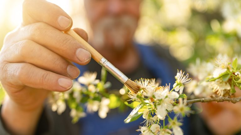 Homem aplica um pincel em algumas plantas