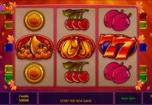 Extra Win X Thanksgiving – Swintt