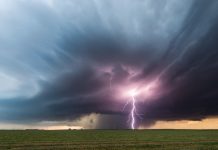 THNDR integration adds skill games to Elantil marketplace Thunderstorm