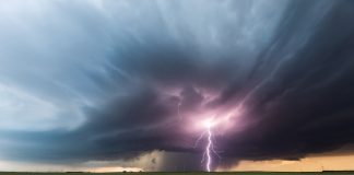 THNDR integration adds skill games to Elantil marketplace Thunderstorm