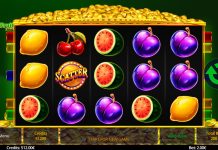Fresh Fruit Deluxe – Swintt