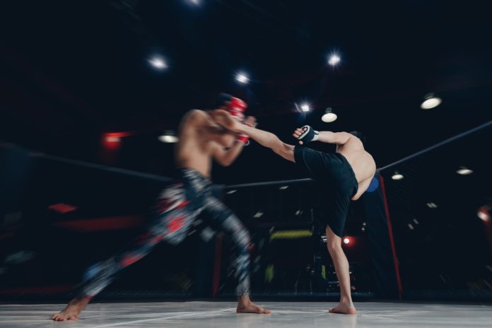Amusnet-and-UTMA-18-unite-for-roundhouse-kick-partnership MMA