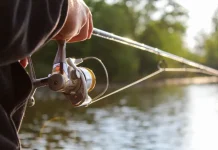 Report: Fishing games remain resilient amid slot innovation A person fishing