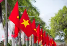 Will Vietnam arrests usher in a new era for black market fight? Vietnam flags