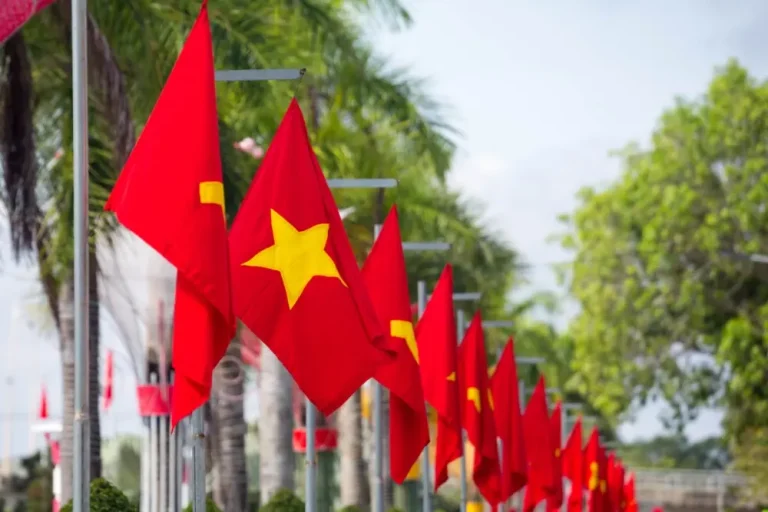 Vietnam flags