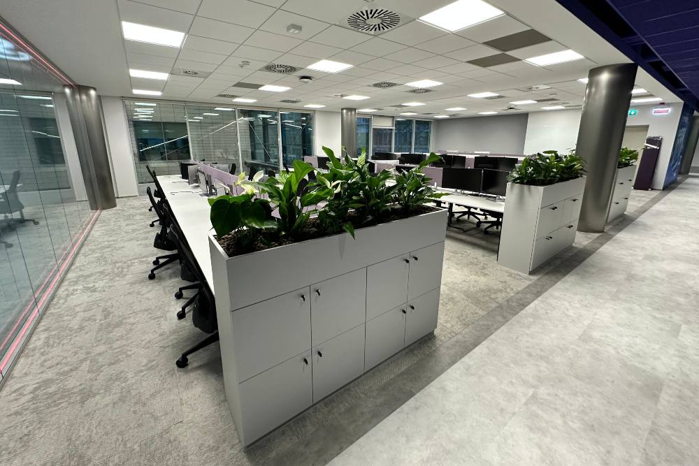 Eeze Romania office 1