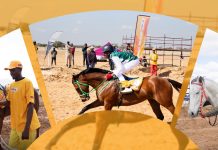 PopOK Gaming backs Botswana’s TT Cup Challenge PopOK Gaming backs Botswana's TT Cup Challenge Horse Racing